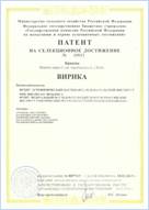 14 августа 2020 г. ФНЦ «ВИК им. В. Р. Вильямса» получен патент на селекционное достижение «Брюква Вирика».