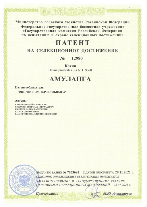 10 ноября 2023 г. ФНЦ «ВИК им. В. Р. Вильямса» получен патент на селекционное достижение: кохия Амуланга.